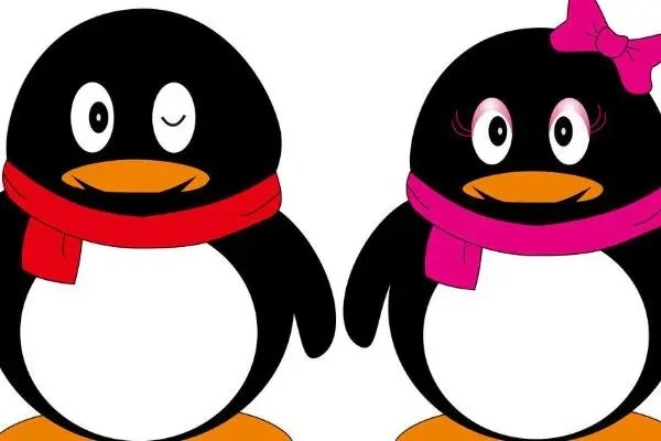 社交媒体账号？